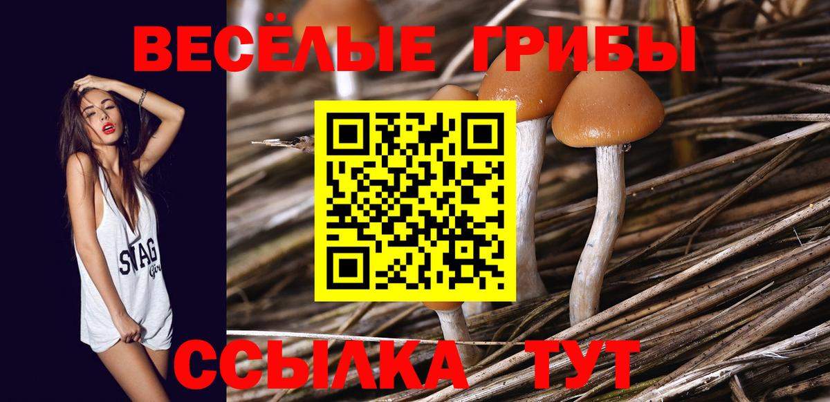 Магнитогорск  Псилоцибиновые грибы Psilocybine cubensis  Галлюциногенные грибы GOLDEN TEACHER  Вход с VPN 